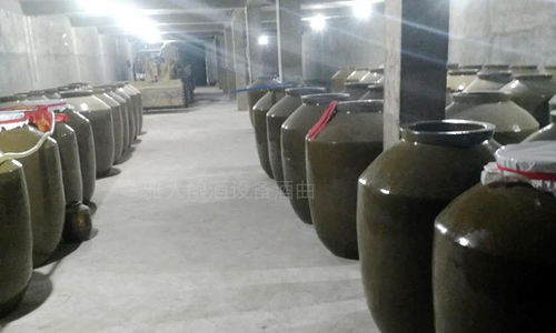 用大型釀酒設備創業1年,申泉酒業成功拿到酒類食品生產許可證